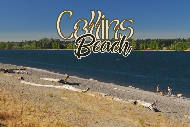 Collins Beach, Oregon