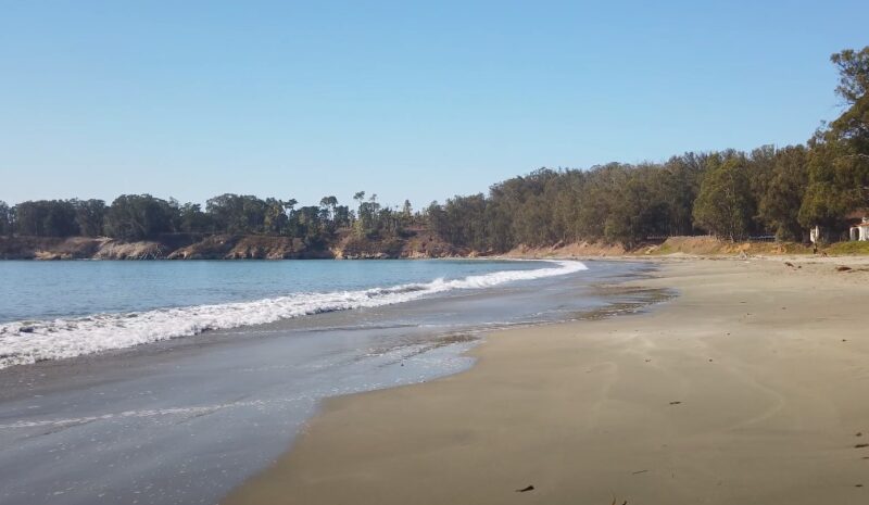 Is San Simeon Beach Worth Visiting