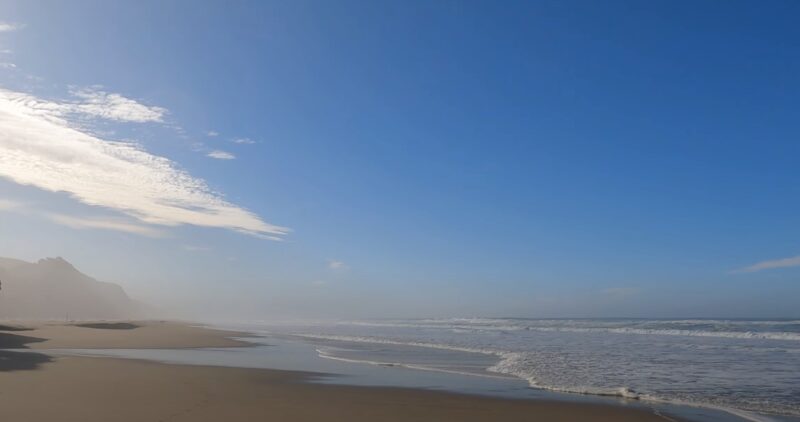 What is San Gregorio Beach Known For